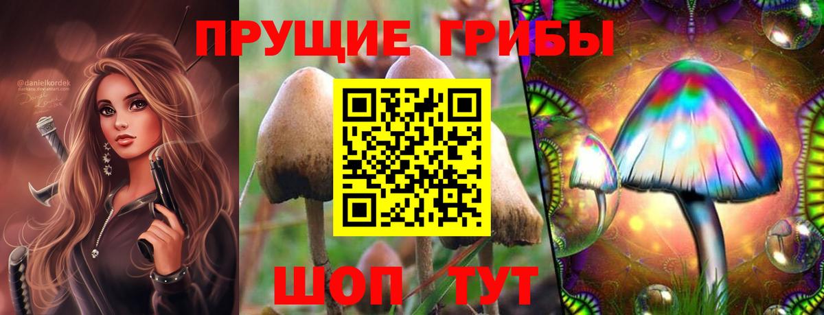 Галлюциногенные грибы GOLDEN TEACHER  наркота  Рубцовск  Псилоцибиновые грибы Psilocybe  Вход с VPN 